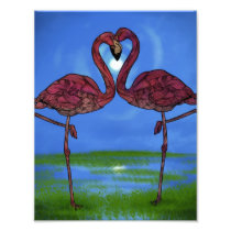 Flamingos Photographic Print