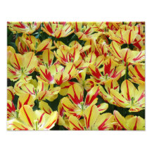 Flammes, copie 11 x 14 impression photo