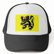 Flanders Region Flag