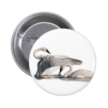 Flapping swan button