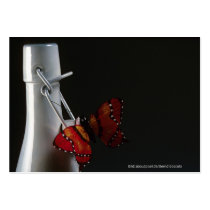 Flasche3 mit Schmetterling Visitenkartenvorlage