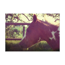 Flashy Grunge Stretched Canvas Print