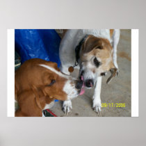 Flashy May and Skipper Print