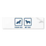 Flat-Coated Retriever