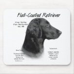 Flat-Coated Retriever History Design