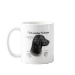 Flat-Coated Retriever History Design Mugs