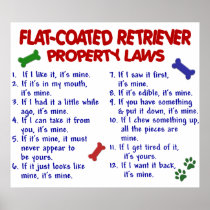FLAT COATED RETRIEVER PL2