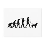 Flat-Coated Retriever