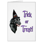 Flat-Coated Retriever Trick Cards
