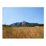 Flat Irons Postcard