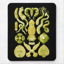 Flat Worms Mouse Pad