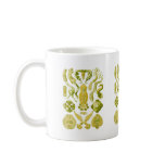Flat Worms Mug