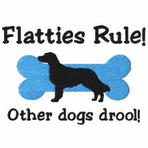 Flatties Rule Embroidered Hoody