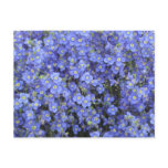 Flax Flowers at Longwood Gardens, Pennsylvania postcards