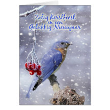 flemish christmas card - blue bird with berries an