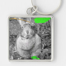 Flemish Giant Rabbit B & W with Green Leaves Key Chain
