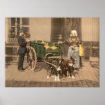 Flemish Milk Maid Poster