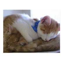 Flemming & Finley Postcard