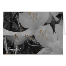 Fleur 1, merci ! cartes de vœux