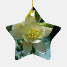 Fleur assez colombine et signification ornement de noël