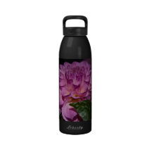 fleur assez pourpre de dahlia bouteille d'eau