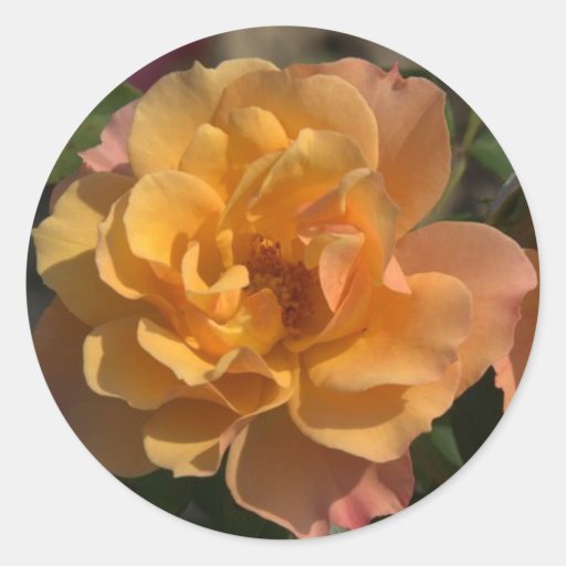 Fleur Autocollants Ronds