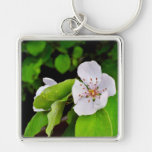 Fleur blanche d'arbre porte-clé