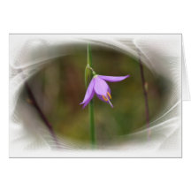 Fleur Carte De Vœux