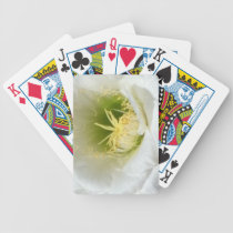 Fleur de cactus de l'Arizona par Ann Finster jeux de cartes