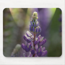 Fleur de cône tapis de souris