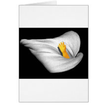 FLEUR DE GM CARTES DE VŒUX
