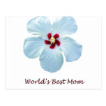 Fleur de ketmie de la meilleure "maman du monde" carte postale