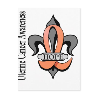 Fleur De Lis Uterine Cancer Hope by awarenessgifts