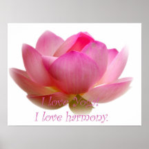 Fleur de Lotus Poster