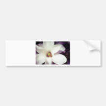 Fleur de magnolia adhésifs pour voiture