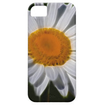 Fleur de marguerite étuis iPhone 5