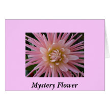 Fleur de mystère carte de vœux