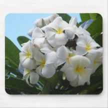 Fleur de Plumeria d'Hawaï Tapis De Souris