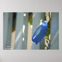 Fleur de ressort posters