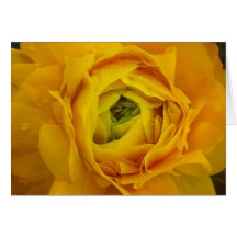Fleur de ressort carte de vœux