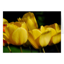 Fleur de ressort cartes de vœux