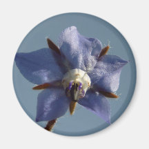 Fleur des champs aimant pour réfrigérateur