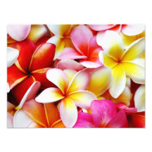 Fleur d'Hawaï de Frangipani de Plumeria customisée Photographe