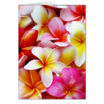 Fleur d'Hawaï de Frangipani de Plumeria customisée Cartes De Vœux