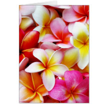 Fleur d'Hawaï de Frangipani de Plumeria customisée Cartes De Vœux