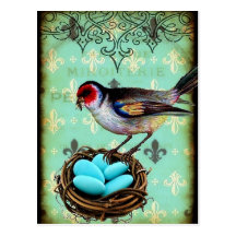 Fleur Di Lis Bird Nest Shabby Chic Postcard