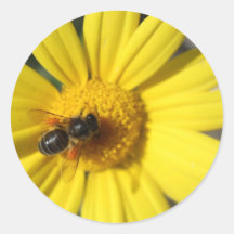 Fleur et abeille jaunes adhésifs