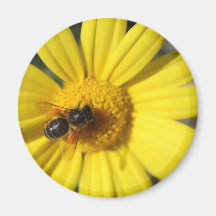 Fleur et abeille jaunes aimant pour réfrigérateur