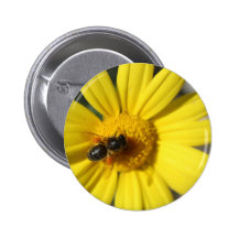 Fleur et abeille jaunes badge
