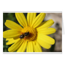 Fleur et abeille jaunes cartes de vœux